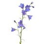 Künstliche Glockenblume GISELA, blau, 65cm, Ø1-4cm