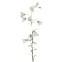Künstliche Glockenblume GISELA, weiß, 65cm, Ø1-4cm