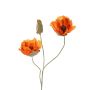 Mini-Mohnblume, orange, 2 Blätter, 60cm, Ø 8cm