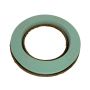 OASIS® Nass Steckmasse Kranz, fester Pulit Schaum, für Trocken- / Frischblumen, Biolit Altpapier Schale, grün, 6cm, Ø44,5cm