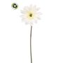 Künstliche Gerbera FRALWE, Eco Collection, weiß, 65cm, Ø13cm