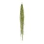 Kunst Sukkulente Tillandsia usneoides PENZA, hängend, grün, 140cm