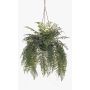 Deko Schwertfarn Frauenhaarfarn Blumenampel MAXROL, Erdballen, Wurzeln, hängend, grün, 85cm