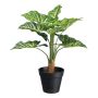 Deko Pflanze Syngonium ZILHEN, Dekotopf, grün, 45cm