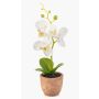 Plastik Orchidee Phalaenopsis LEONISA im Terrakottatopf, weiß, 20cm