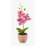 Plastik Orchidee Phalaenopsis LEONISA im Terrakottatopf, rosa, 20cm
