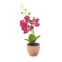 Plastik Orchidee Phalaenopsis LEONISA im Terrakottatopf, fuchsia, 20cm