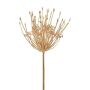 Dekoblume Zierlauch MElJA, gold, 80cm