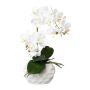 Textil Phalaenopsis Orchidee GINERT, Keramiktopf, Wurzeln, weiß, 35cm