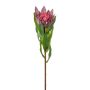 Dekoblume Königs Protea WANBA, lila, 50cm