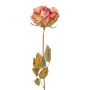 Dekoblume Rose PANSOK, Trockenoptik, rosa-pfirsich, 55cm, Ø7cm