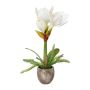 Kunstblumen Gesteck Amaryllis OMELRA mit Farn, Zementtopf, weiß, 35cm