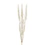 Fake Gras Lampenputzergras ALOGUI Steckstab, Rispen, beige, 50cm