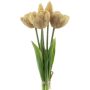 Deko Tulpenbund LANEA, champagner, 30cm, Ø15cm