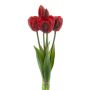 Deko Tulpenbund LANEA, rot-schwarz, 30cm, Ø15cm