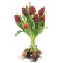 Künstlicher Tulpenstrauß LONA mit Zwiebeln, rot-schwarz, 35cm, Ø25cm