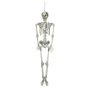 Halloween Dekoration Skelett LAMBERT, hängend, 150cm