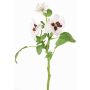 Dekozweig Stiefmütterchen SIANIE, weiß-burgunderrot, 35cm, Ø5-6,5cm