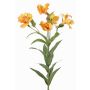 Dekozweig Inkalilie AUBERTA, orange-gelb, 75cm, Ø6cm
