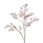 Unechter Asparagus plumosus Zweig RABETA, braun-rosa, 100cm