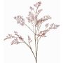 Unechter Asparagus plumosus Zweig RABETA, braun-rosa, 100cm