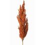 Dekozweig Sorghumhirse WADDY mit Ähren, orange, 80cm