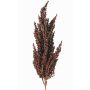 Dekozweig Sorghumhirse WADDY mit Ähren, dunkelrot, 80cm