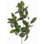 Künstlicher Mangroven Zweig USTERA, Knospen, schwerbrennbar, grün, 60cm