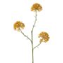 Dekozweig Allium ALIKIO, orange, 65cm, Ø7cm
