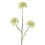 Dekozweig Allium ALIKIO, weiß, 65cm, Ø7cm