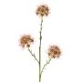 Allium Zweig künstlich ZEBU, rosa, 65cm, Ø7cm
