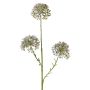 Dekozweig Allium ALIKIO, blau, 65cm, Ø7cm