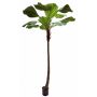 Deko Strahlenpalme OBERTA, 260cm