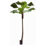 Deko Strahlenpalme OBERTA, 260cm
