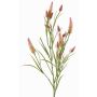 Dekozweig Klee künstlich EUTIN mit Blüten, altrosa-grün, 80cm, Ø1,5-2cm