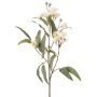 Eukalyptus Zweig künstlich WANARA mit Blüten, weiß, 100cm, Ø2-6cm