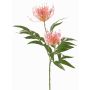 Kunstpflanzen Zweig Silbereiche VULKINTA mit Blüten, rosa, 75cm, Ø9-11cm