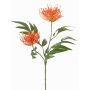 Kunstpflanzen Zweig Silbereiche VULKINTA mit Blüten, orange, 75cm, Ø9-11cm