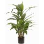 Künstliche Cordyline ORMOS, grün, 80cm
