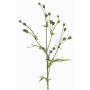 Künstlicher Flachs Zweig KALENO mit Knospen, grün, 70cm