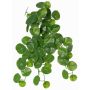 Stephania erecta Kunstpflanze ANOGIA auf Steckstab, grün, 50cm