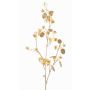 Satin Lunaria Zweig künstlich PINDUS mit Blüten, gelb-gold, 85cm