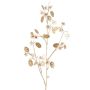 Satin Lunaria Zweig künstlich PINDUS mit Blüten, creme-gold, 85cm