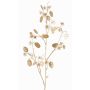 Satin Lunaria Zweig künstlich PINDUS mit Blüten, creme-gold, 85cm