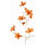 Samt Bauhinia Deko Zweig GAZERA, orange-gold, 115cm