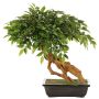 Bonsai Ficus Benjamina künstlich ALMIROS im Tontopf, 60cm