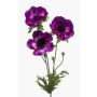Künstliche Anemone SUGOL, violett, 75cm