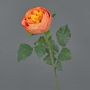 Textil Kohl-Rose VANNI, orange, 60cm, Ø9cm
