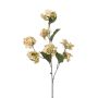 Hortensie unecht CLARY, hellgelb, 80cm