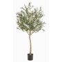 Kunstolivenbaum DRAX, Kunststamm, Früchte, grün, 180cm